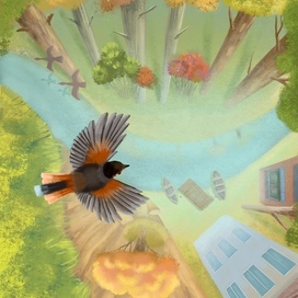 Осень под крыльями