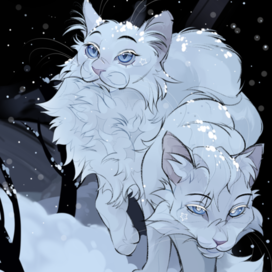 Коты в зимнем варианте