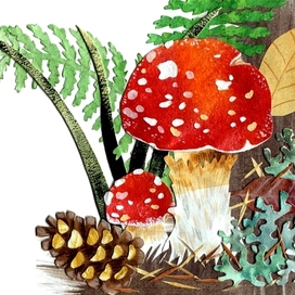 Открытка Мухомор. Серия - лето.