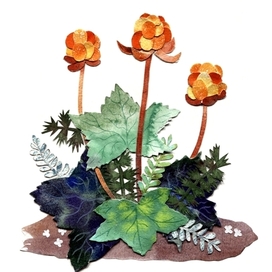 Открытка Морошка