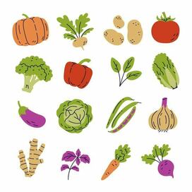 Иллюстрации овощей в одном стиле в векторе