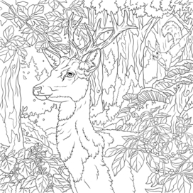 Раскраска Анти-стресс