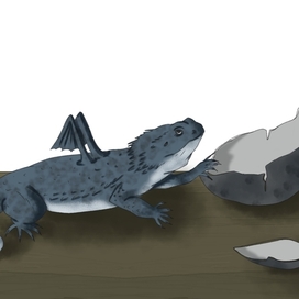 маленький дракон