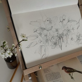 Зяблик на яблоне