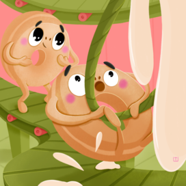 Пончики для упавковки пончиков