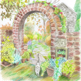 здесь вам всегда рады