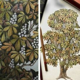 Каштановое дерево