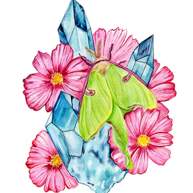 Мотылек и кристаллы