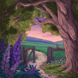 Летний вечер