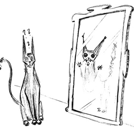 Я и моя тень 