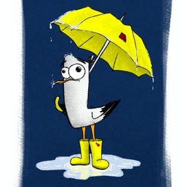 Коротко о погоде в Питере