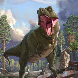 Тираннозавр ( обложка)