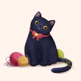 Чёрный Котик