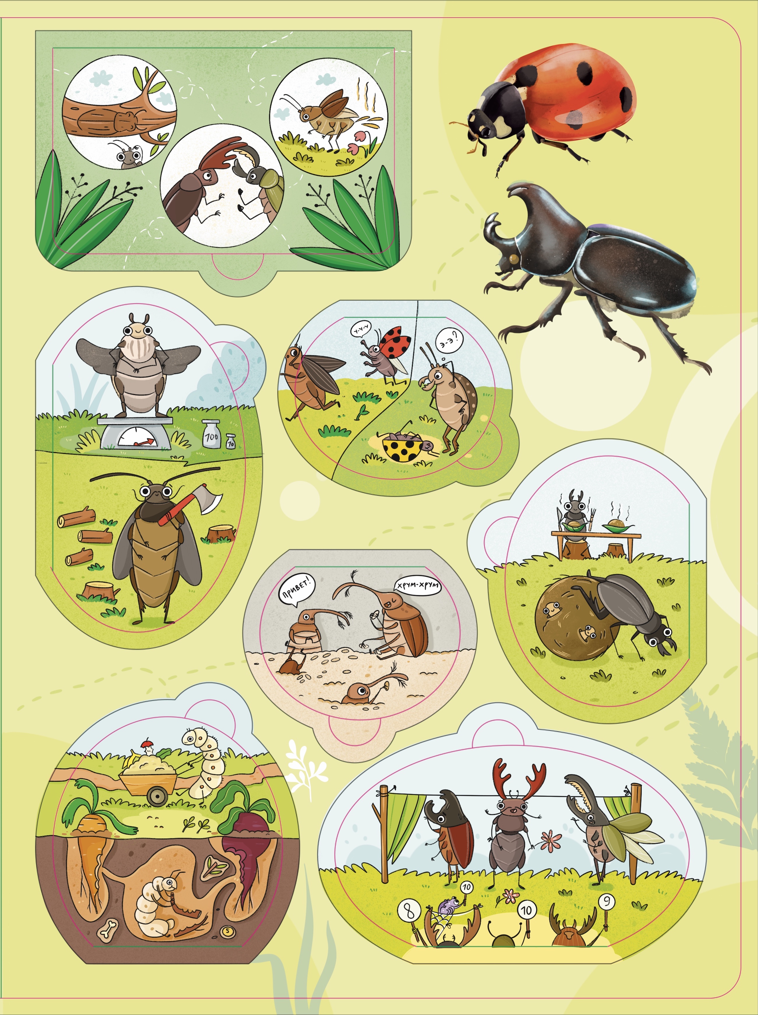 Книга с окошками про насекомых. Жуки