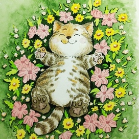 Мурка на лужайке