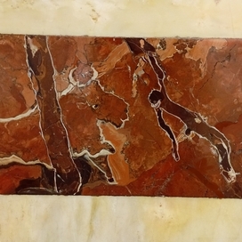 Бик и обизяна