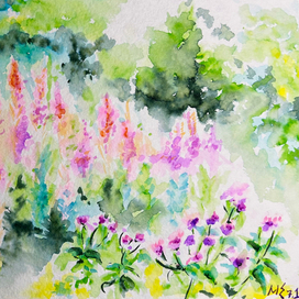 Летние цветы