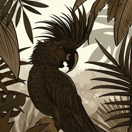 Пиратский Попугай