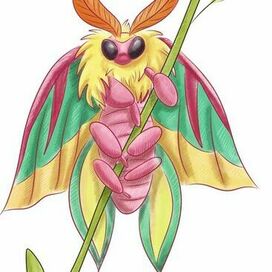 Детские иллюстрации