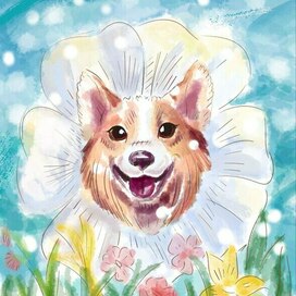 Весенний коржик-ромашка