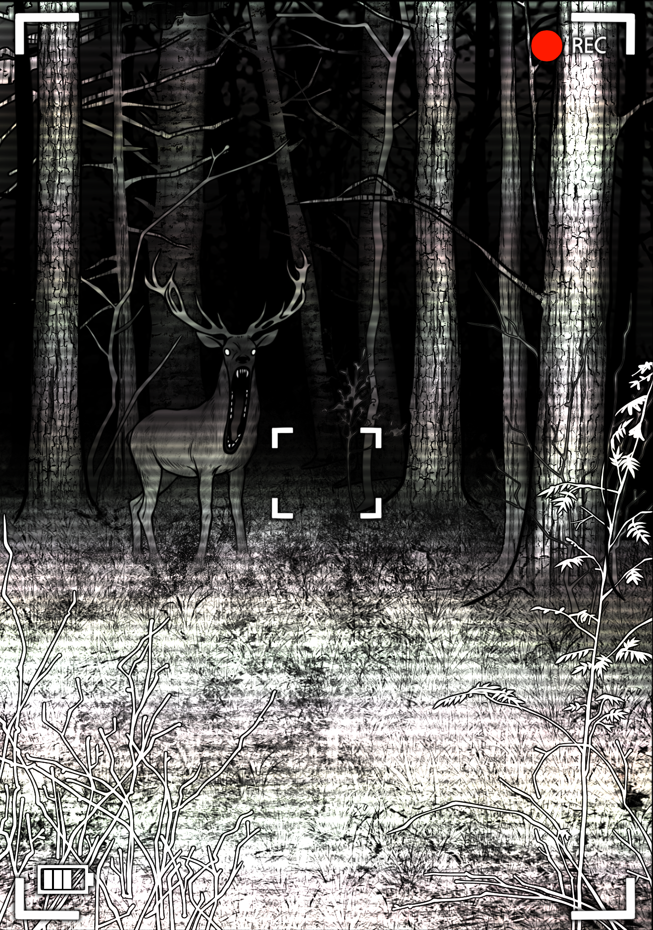 Ночная видеосъемка