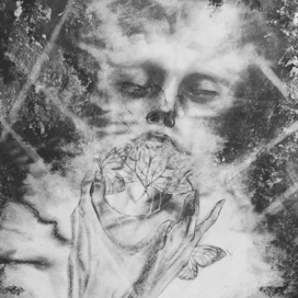 Бабочки моей боли