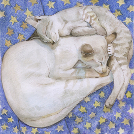 Соня большая и соня маленькая