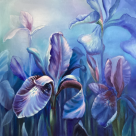 Синие ирисы