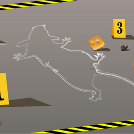 Место преступления