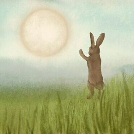 Краденое соднце