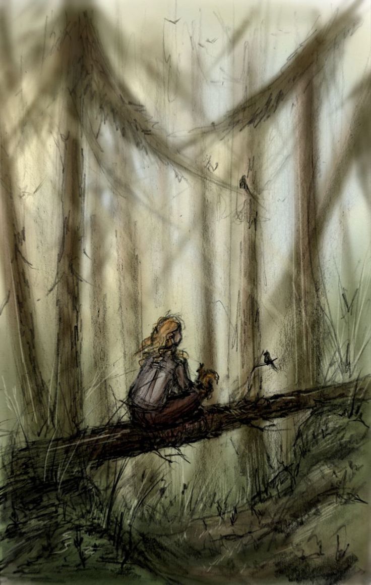 В сердце леса