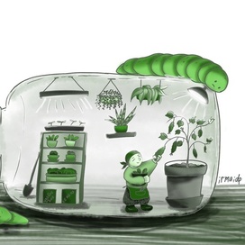 огуречный мир