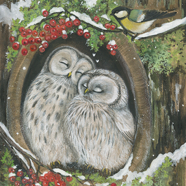 Перезимуем с совами