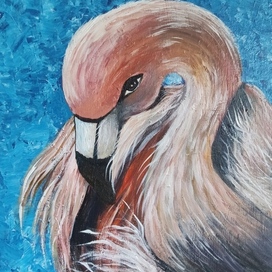 Розовый фламинго