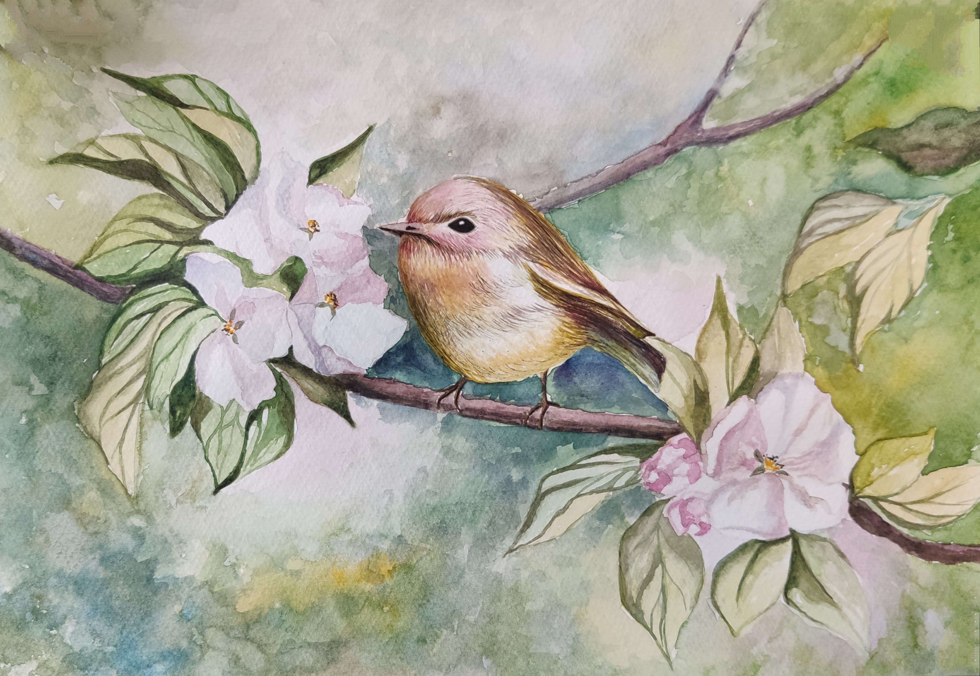 Мелодия весны