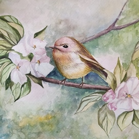 Мелодия весны