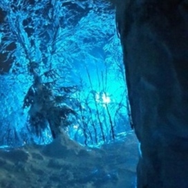 фото фантазия