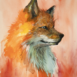 Лиса обыкновенная 