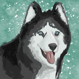 сибирский хаски