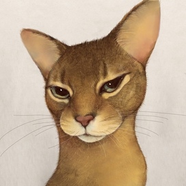 Без названия