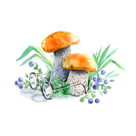 Заставка к сказке "Волчок" Юлии Чернухиной. Издательство "Эксмо"