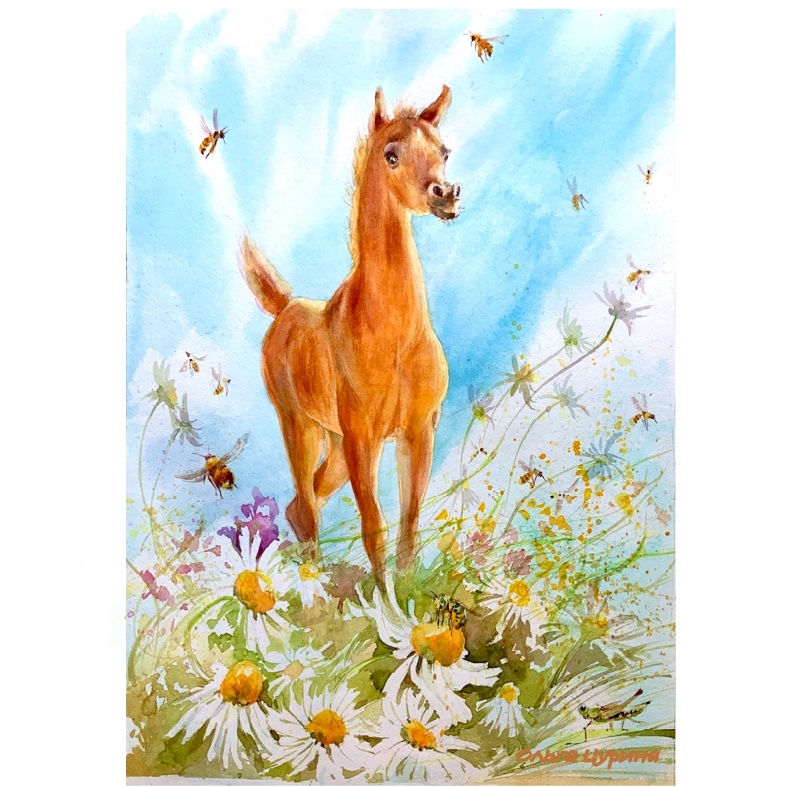 Жеребенок Ю. Коваль