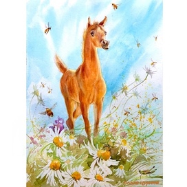 Жеребенок Ю. Коваль