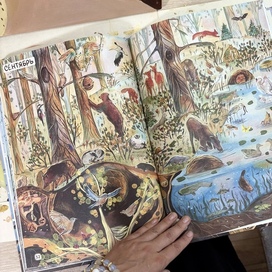 Иллюстрация из книги «От зимы к лету» издательство «Доброе детство»