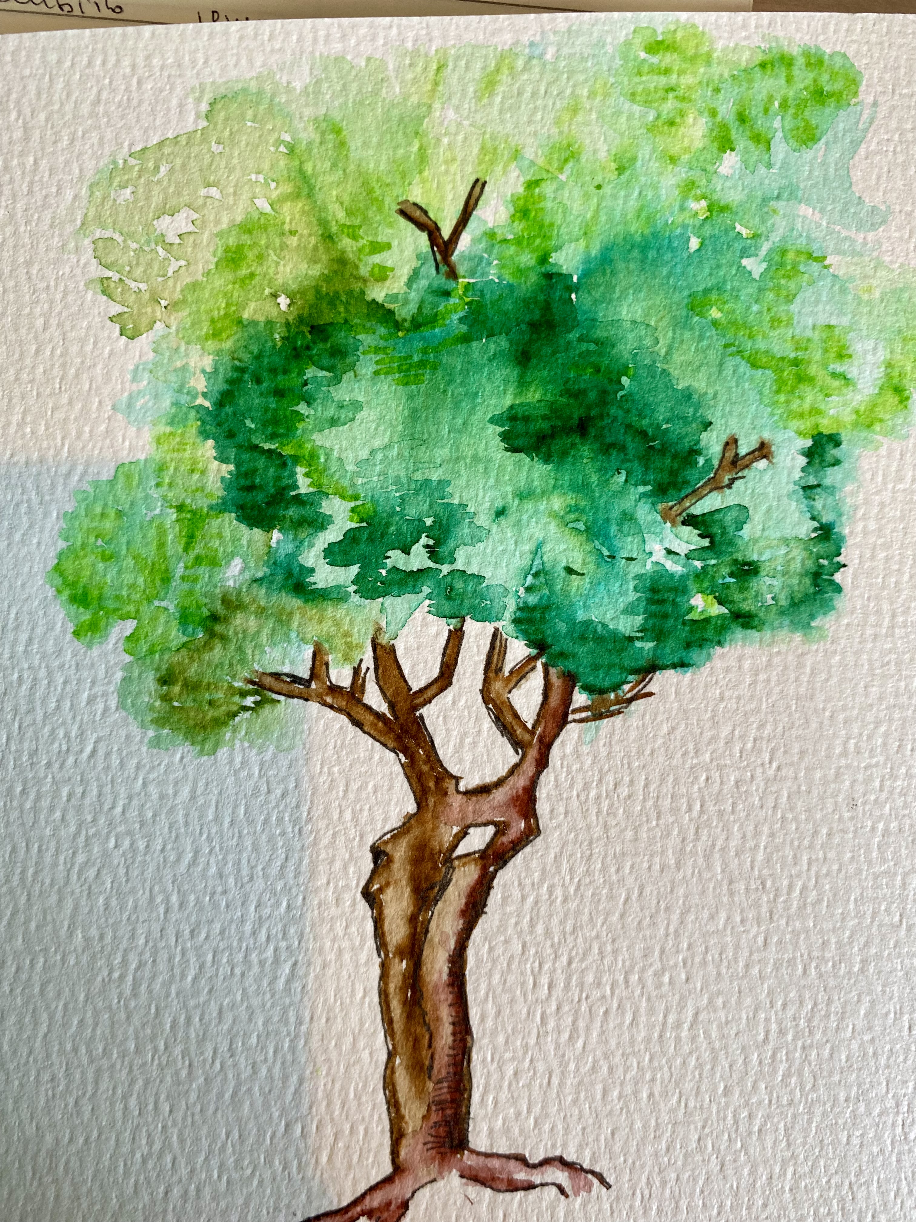 Акварельное дерево