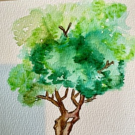 Акварельное дерево