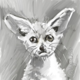 черно-белая иллюстрация с животным