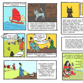 Комикс - История кошек в картинках - нонфик