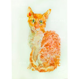 Кот акварельный рыжий 