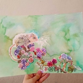 Акварельная мышка полевка